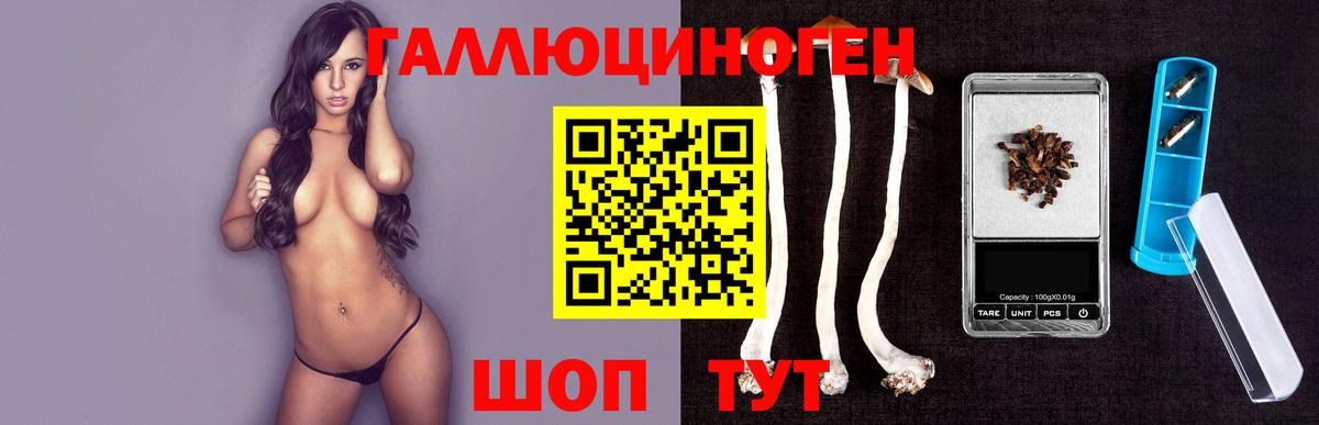 Галлюциногенные грибы прущие грибы Грозный